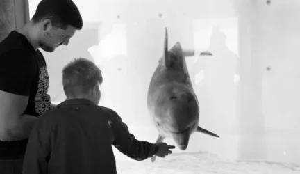 Prasmingos akcijos finišas: delfinų terapiją gavo 15 vaikų su specialiaisiais poreikiais