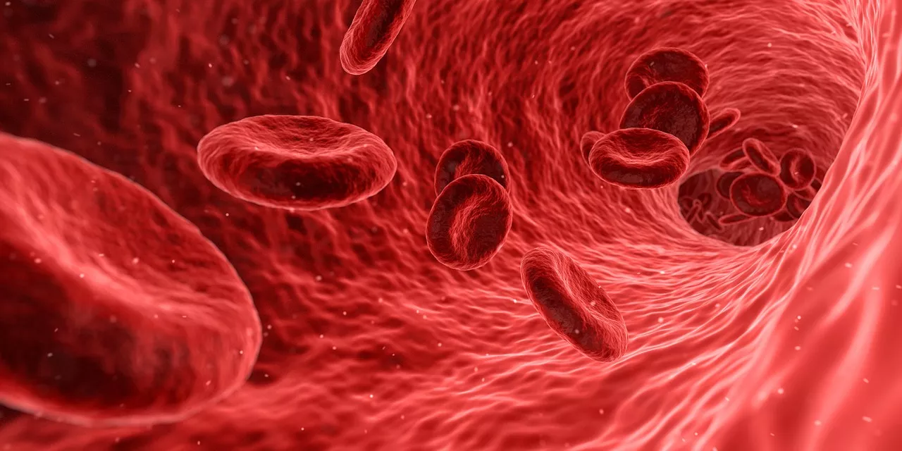 Gydytojas hematologas: daugiausia naujovių įneša imunoterapijos sritis