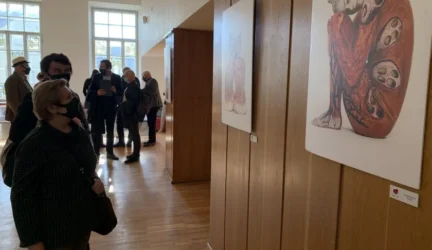 Organų donorystės dienos išvakarėse – išrinkti kūrybinio konkurso „Organų donorystei – taip!“ nugalėtojai