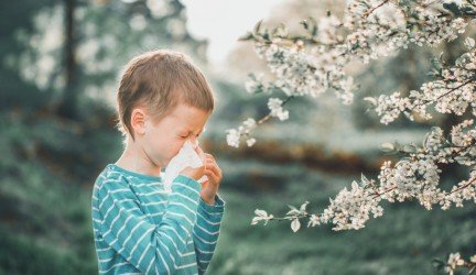 Gąsdina žiedadulkių audros? Išsitirkite, kokių alergenų turite saugotis