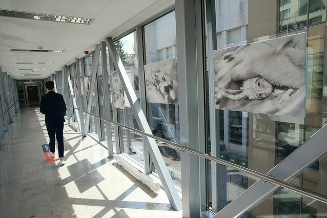 Seime atidaryta jautri ankstukų fotografijų paroda