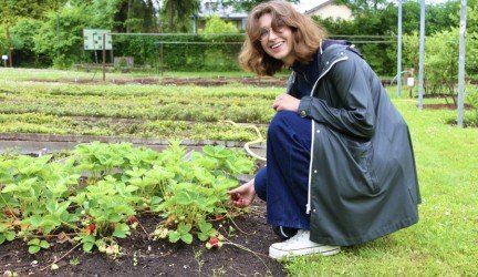 Funkcinio maisto mokslininkė: apie ypatingą rauginto maisto galią ir mažus, bet didelį poveikį turinčius mitybos įpročius