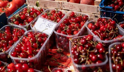Vasarą stengiatės „atsivalgyti“ uogų už visus metus? Vaistininkė atskleidžia jų dienos normą