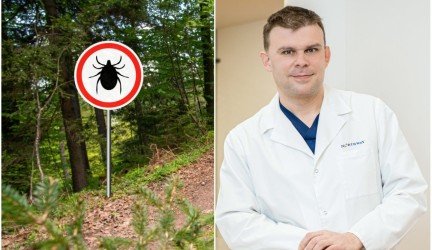 Morozovas erkės