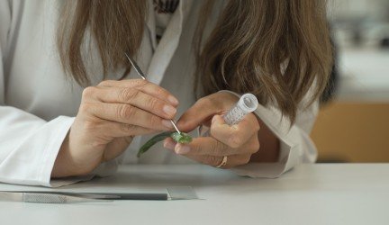 Nervinę įtampą mažinanti kramtoma guma