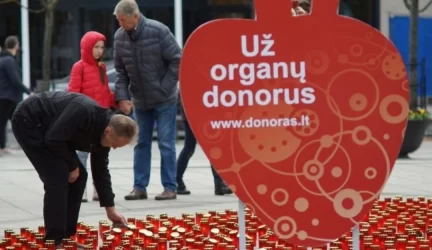 Organų donorystė