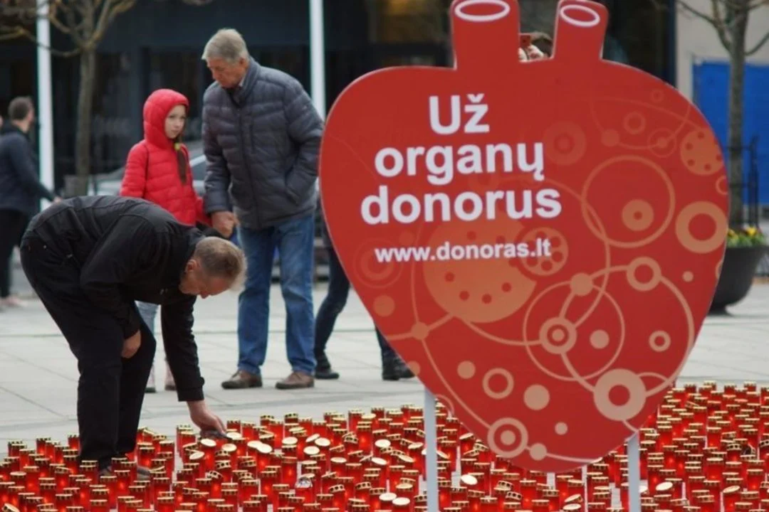 Organų donorystė