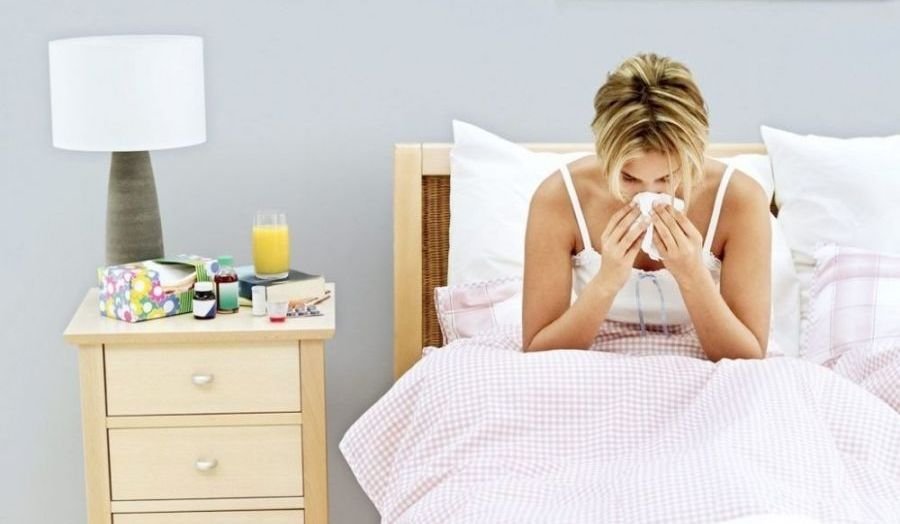 Mikroorganizmai namuose