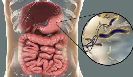 Helicobacter pylori bakterija