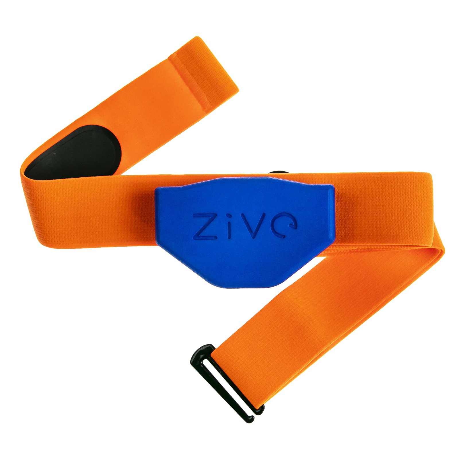 Zive EKG