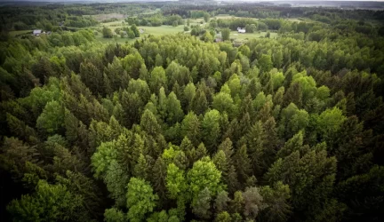 Erkės