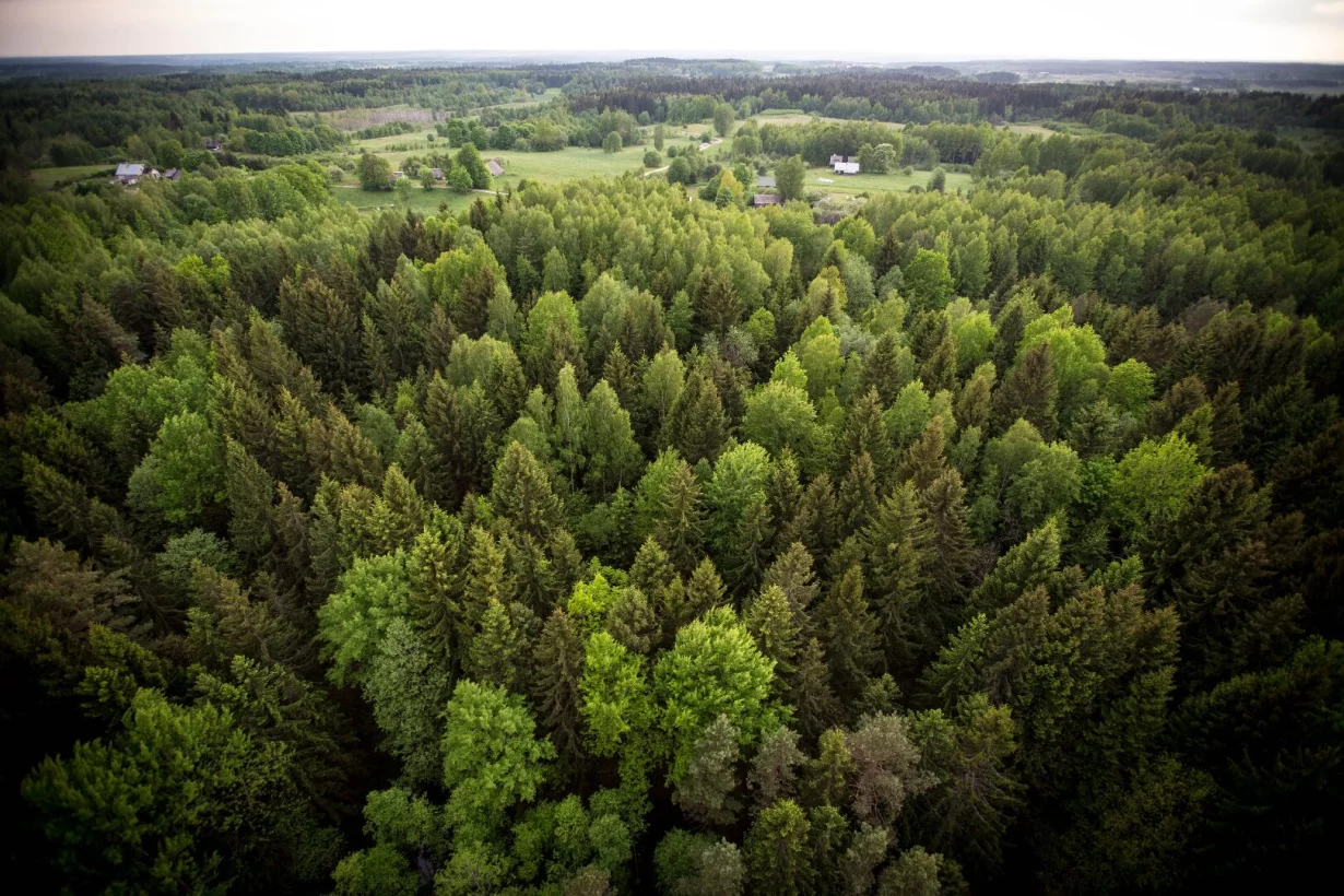 Erkės