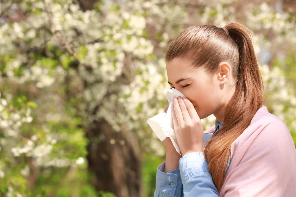 Pavasario alergija