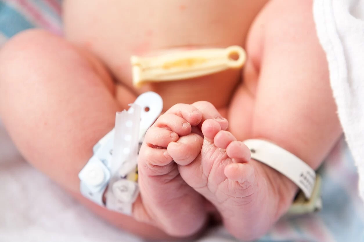 Fenix labdaros fondas