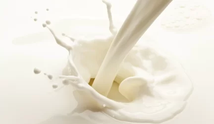 Pieno produktai