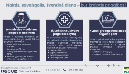 Pagalba medicinos per šventines dienas