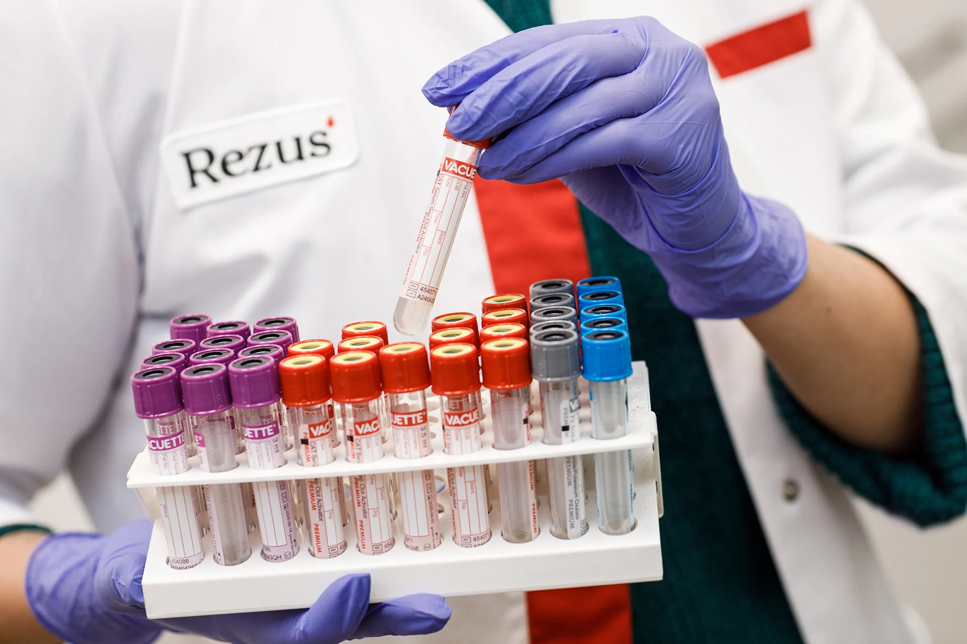 Rezus