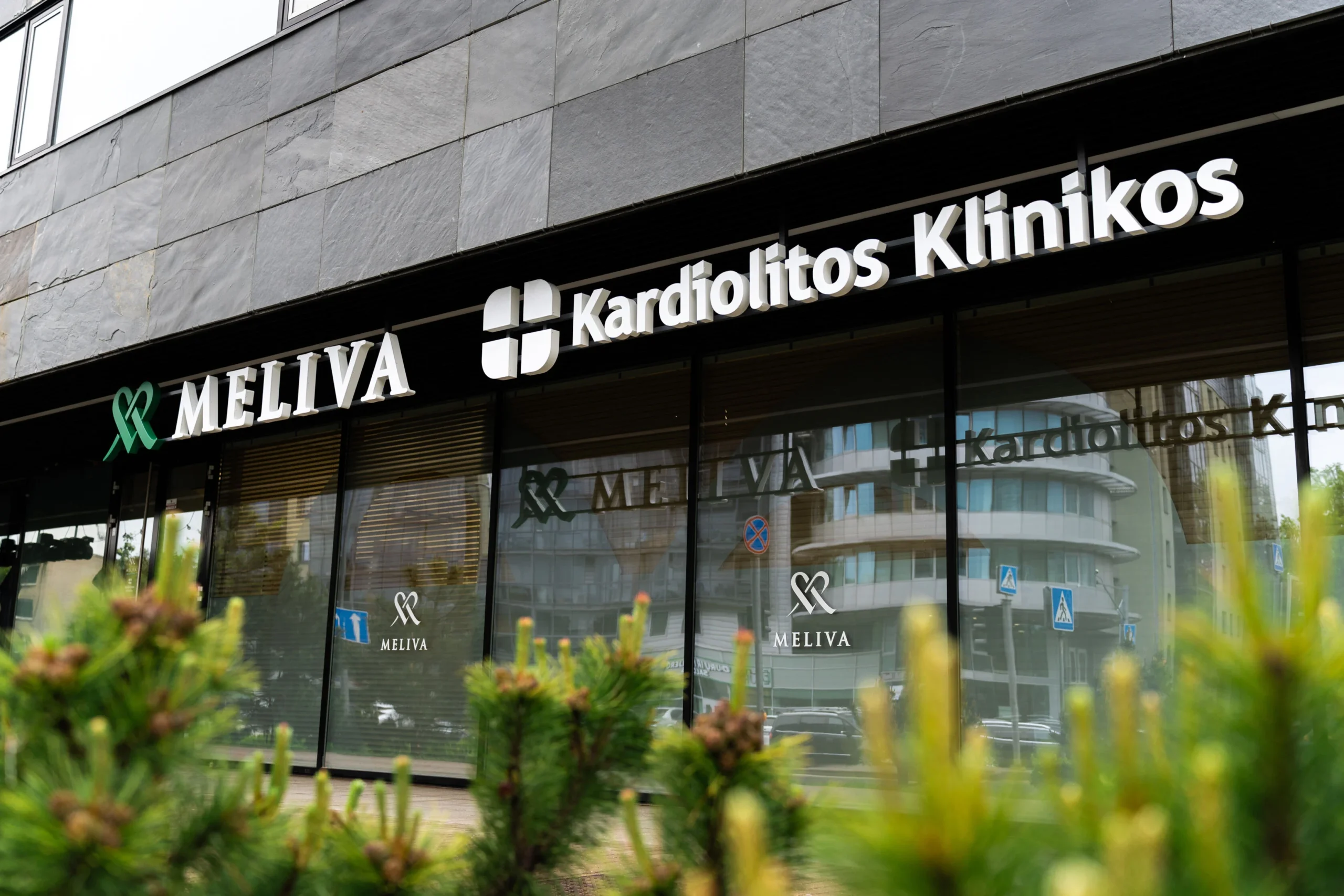Meliva