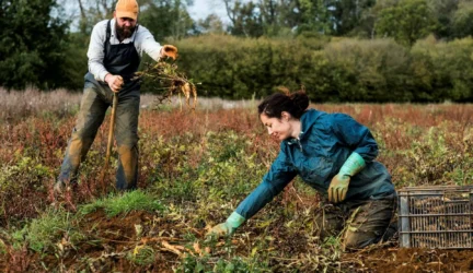 Envato / Sodo darbai rudenį