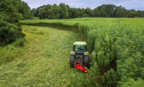 Pluoštinės kanapės