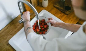 Vaisių ir daržovių plovimas