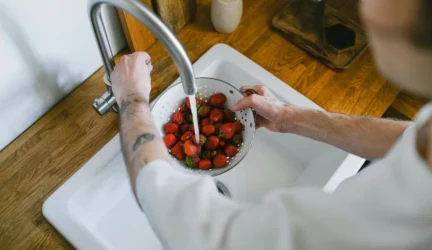 Vaisių ir daržovių plovimas
