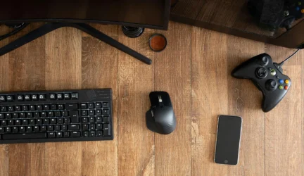 Skaitmeninis vartojimas