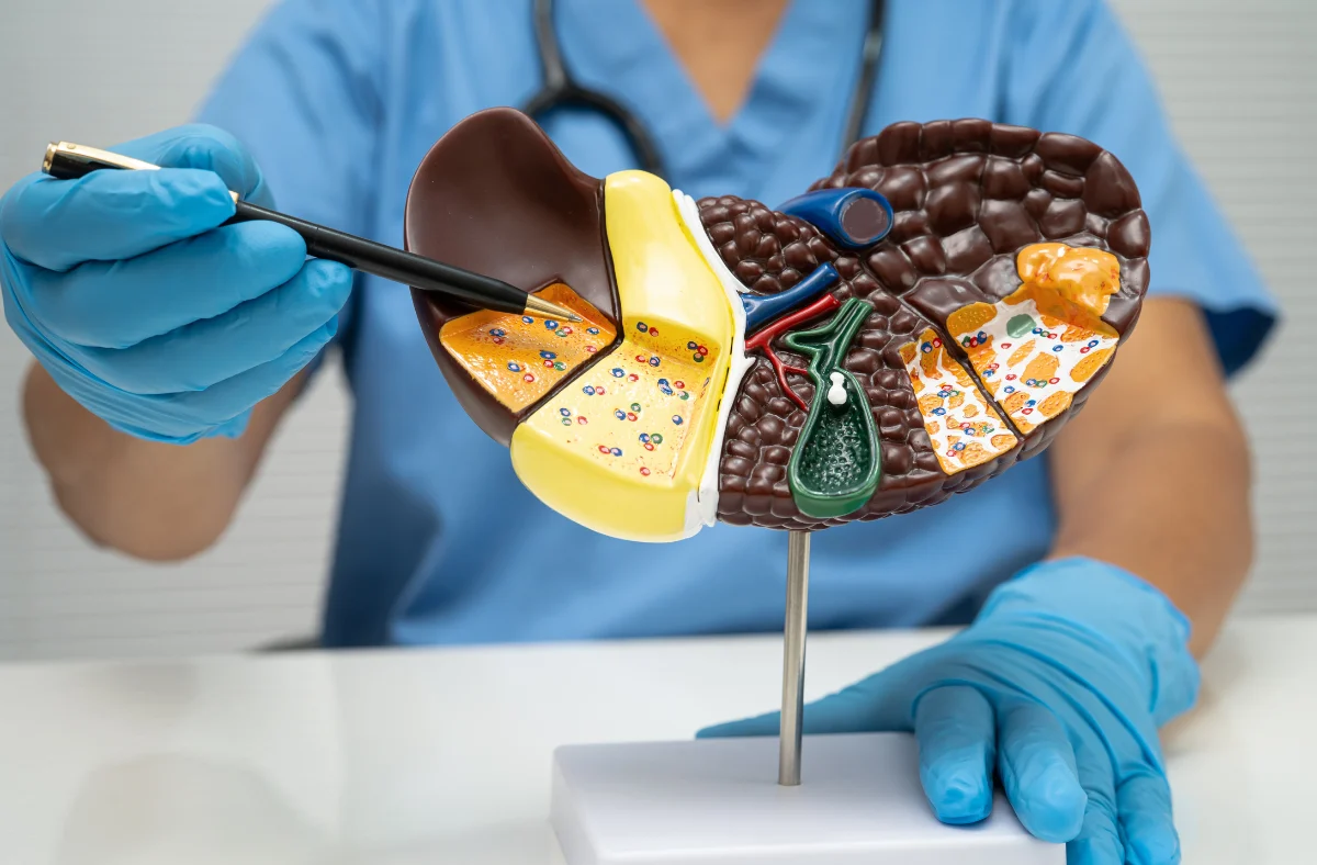 Suriebėjusios kepenys