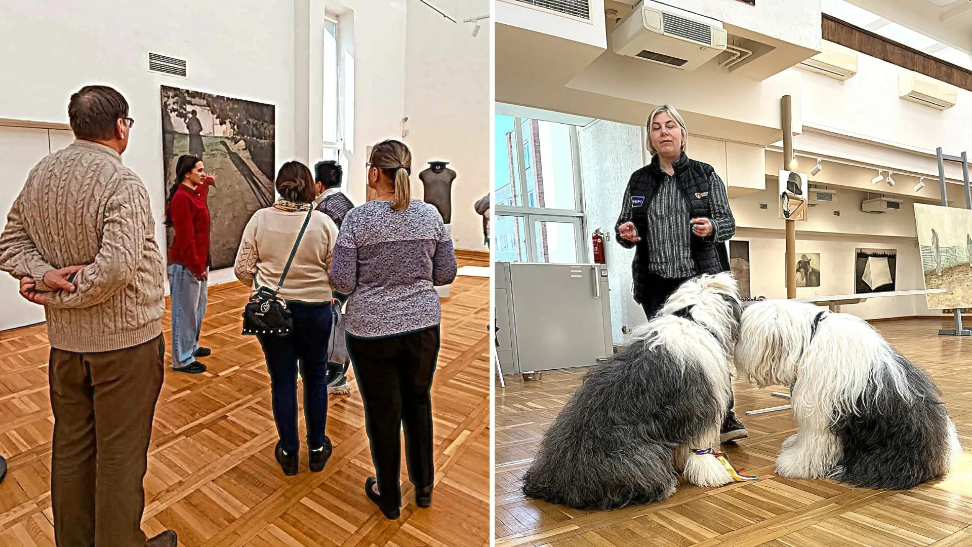 Menininkės Renatos Murauskaitės paroda „Ką kalba daiktai“ ir kaniterapeutės Jelenos Džiugienės augintiniai.
