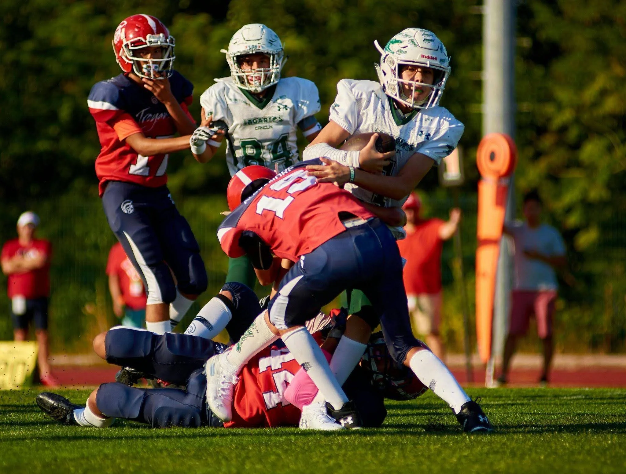 Sporto įžvalgos